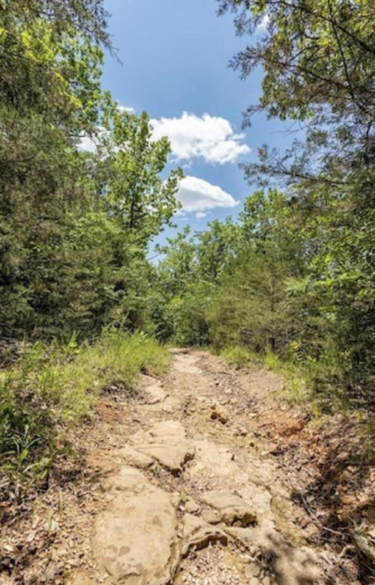 Beautiful Branson Getaway-Next To Silver Dollar City &Tablerock-Family Amenities 外观 照片